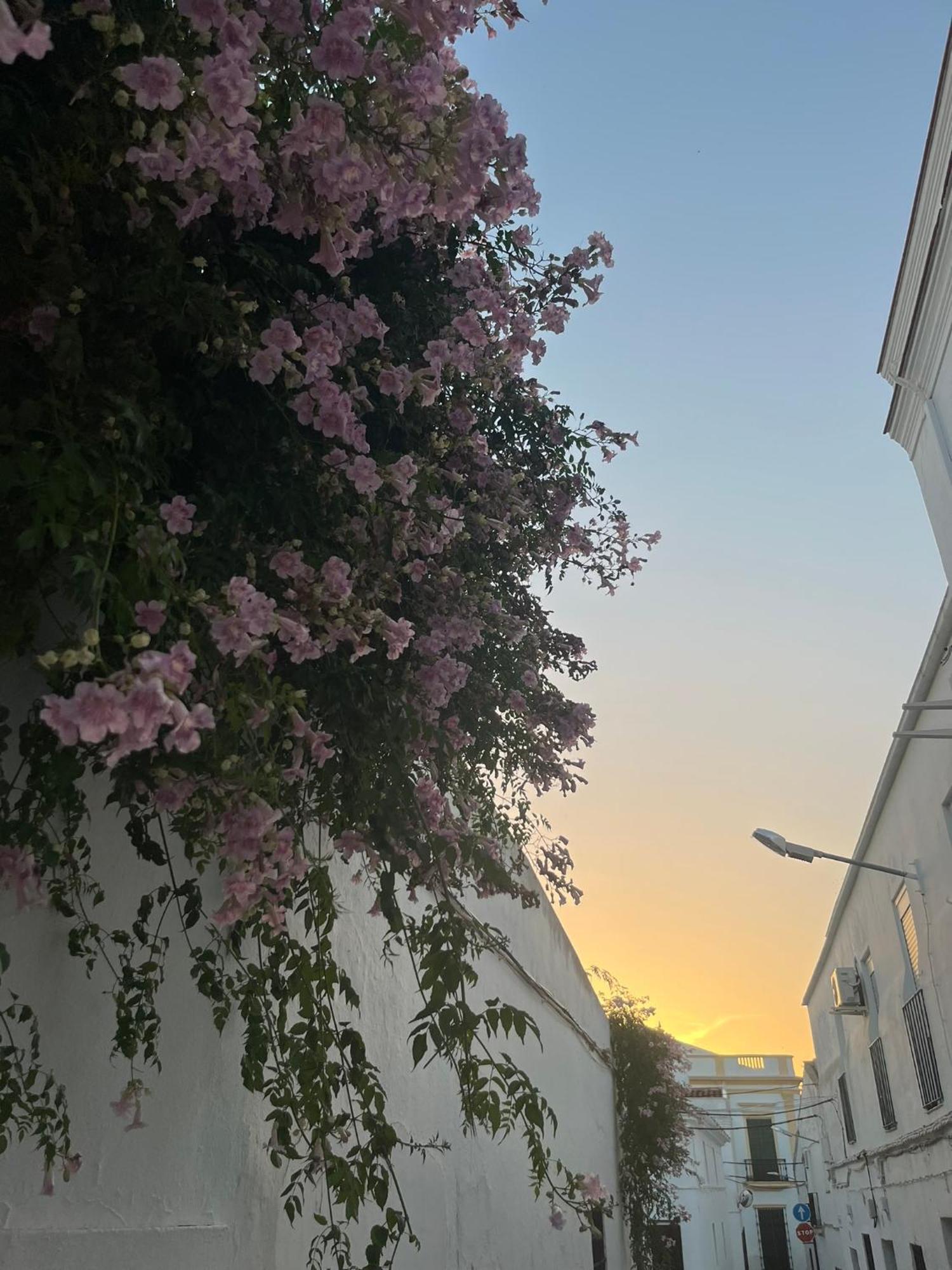 La Sala By Casa De Rosita At-Ba-00215 Διαμέρισμα Fuente del Maestre Εξωτερικό φωτογραφία
